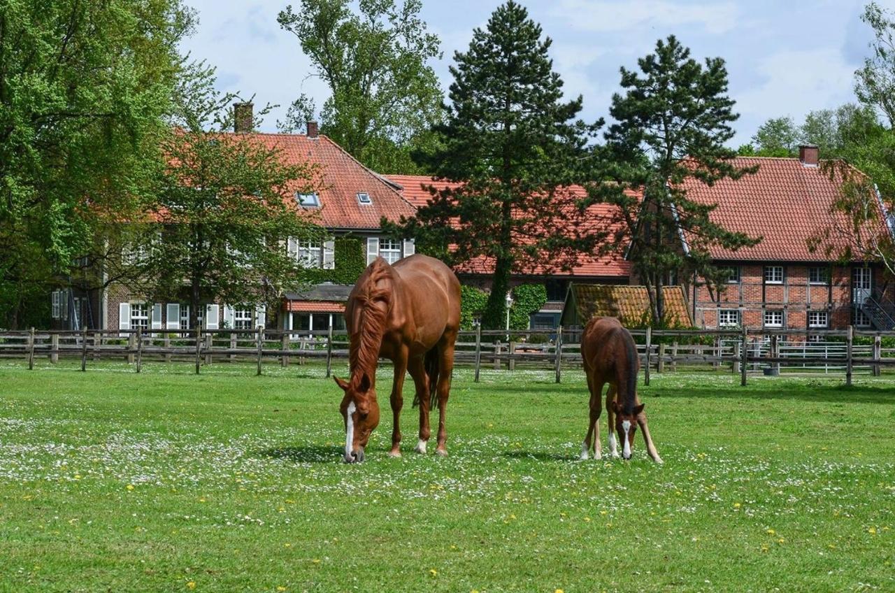 Ferienwohnungen Georgenbruch Everswinkel Exteriér fotografie